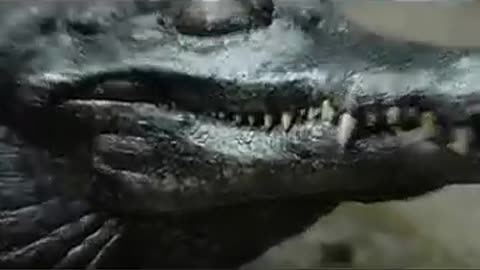 Top 5 astonishing moments that humans didn't knew