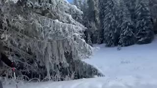 🔥 Top Videos You Have to See to Believe 💯HESF