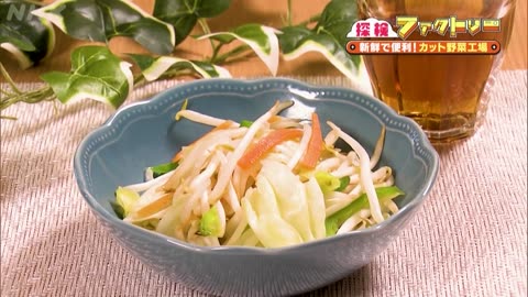 探検ファクトリー カット野菜工場シャキシャキ感と鮮度を保つ秘密簡単レシピも