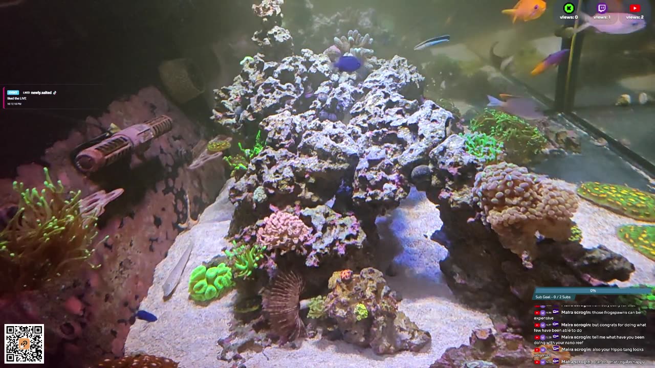 24/7 Real Live Reef Stream