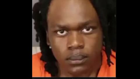 Nigger feeds alligator 🐒🤦‍♀️🐊🐒