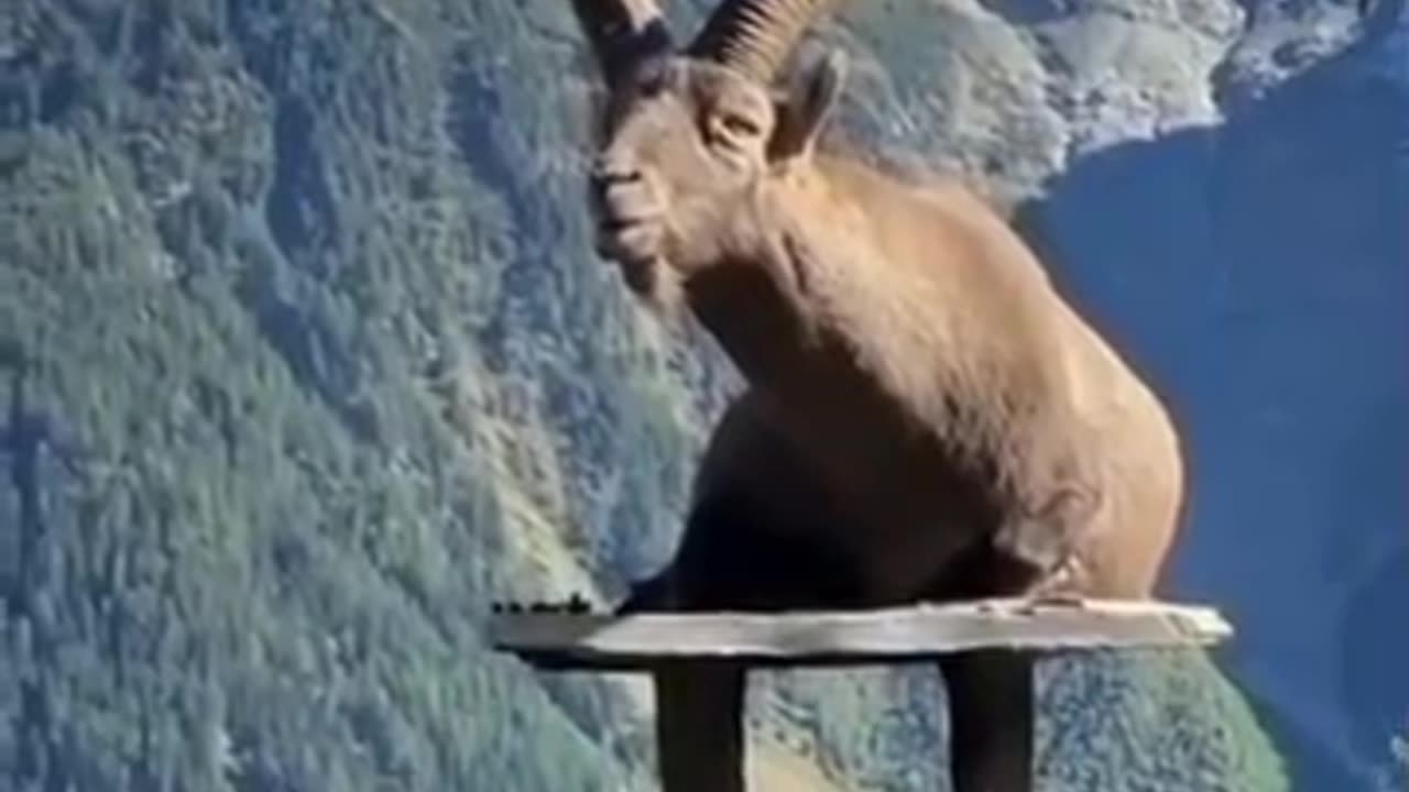 wonders of the world