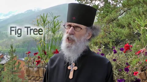 The Four Curses On Judaism
