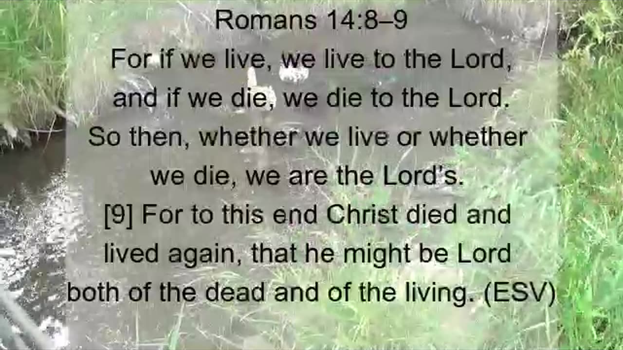 Bible Verses for Hard Times: Sept 2025