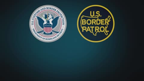 Border Patrol Struggle Ends in Gunfire and Bee Attack Near Laredo, Texas