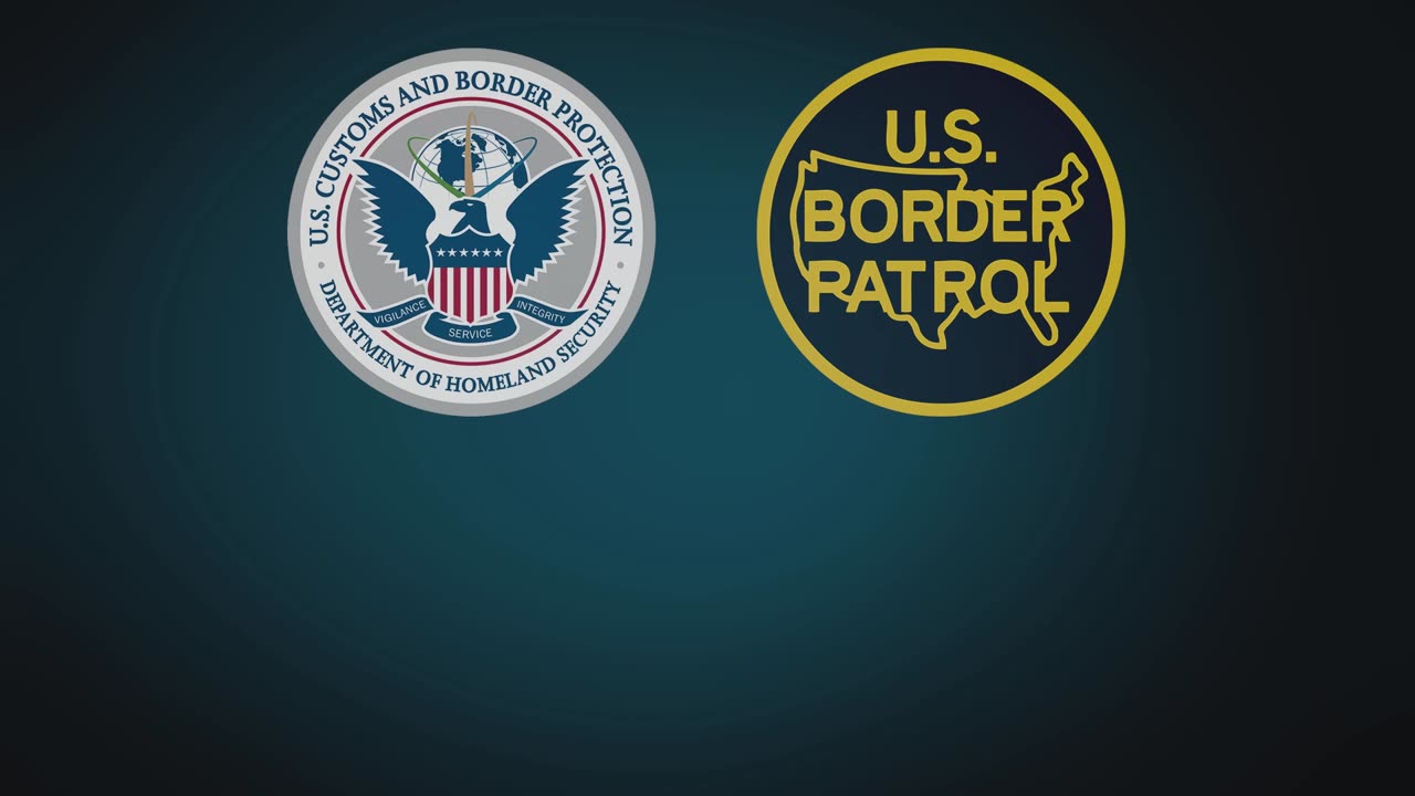 Border Patrol Struggle Ends in Gunfire and Bee Attack Near Laredo, Texas