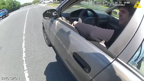 Body Camera Footage: Traffic stop leads to fatal police-involved shooting