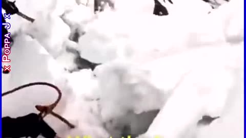50 50 💀
