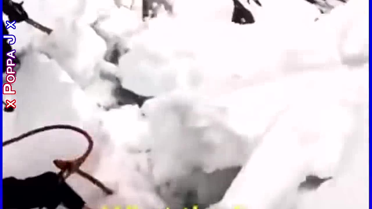 50 50 💀