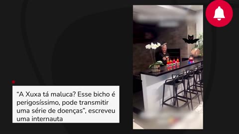 Xuxa alimenta morcegos em casa e choca web 'É perigosíssimo' VDownloader.mp4
