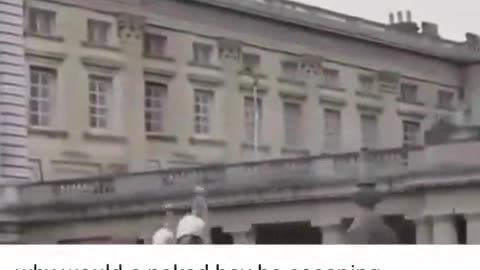 Timmy escapes the palace!