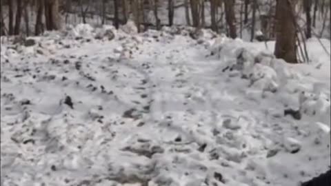 Generational Vacation Home!