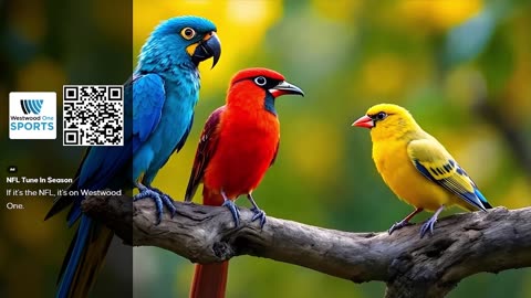 Bird Sounds & Relaxing Piano in Nature | 4 Hours of Peaceful Forest Ambience