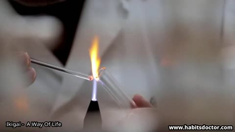 Ikigai A Way Of Life
