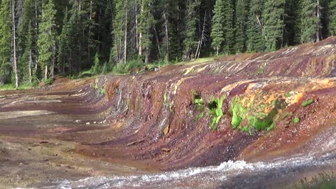 Colorado's Rarest Landscape? The strange & unique "Geneva Creek Iron Fens".