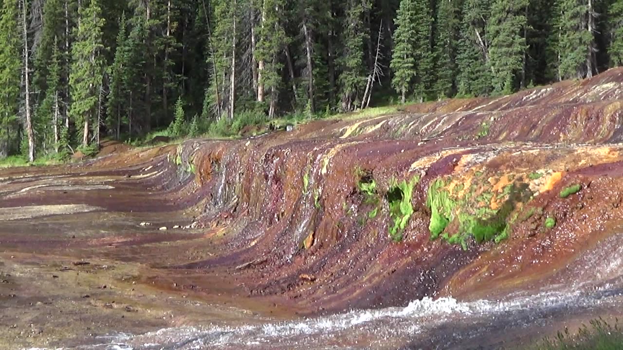 Colorado's Rarest Landscape? The strange & unique "Geneva Creek Iron Fens".