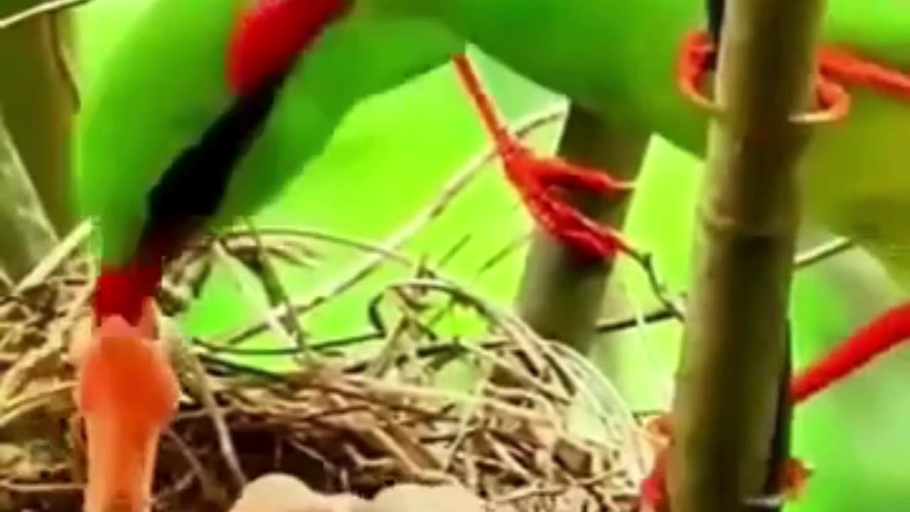 💋 Good Morning, Breakfast Ready