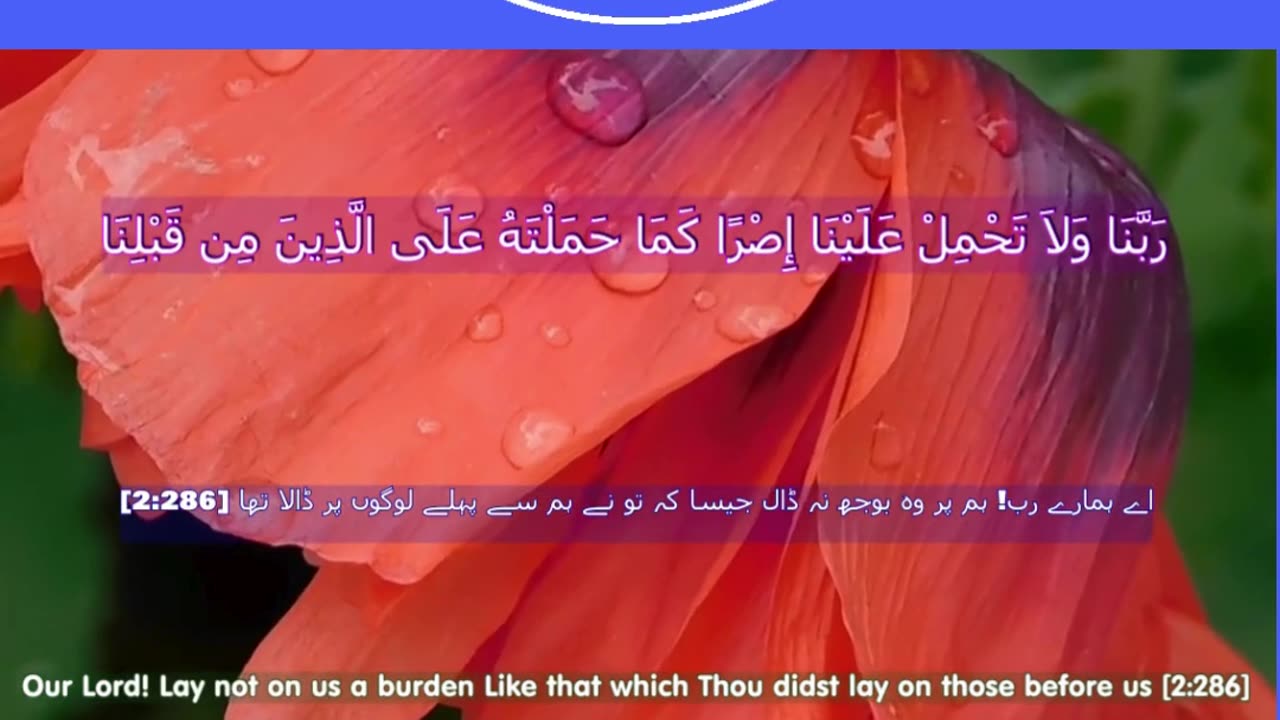 40 Rabbana Duas (Dua no 6)