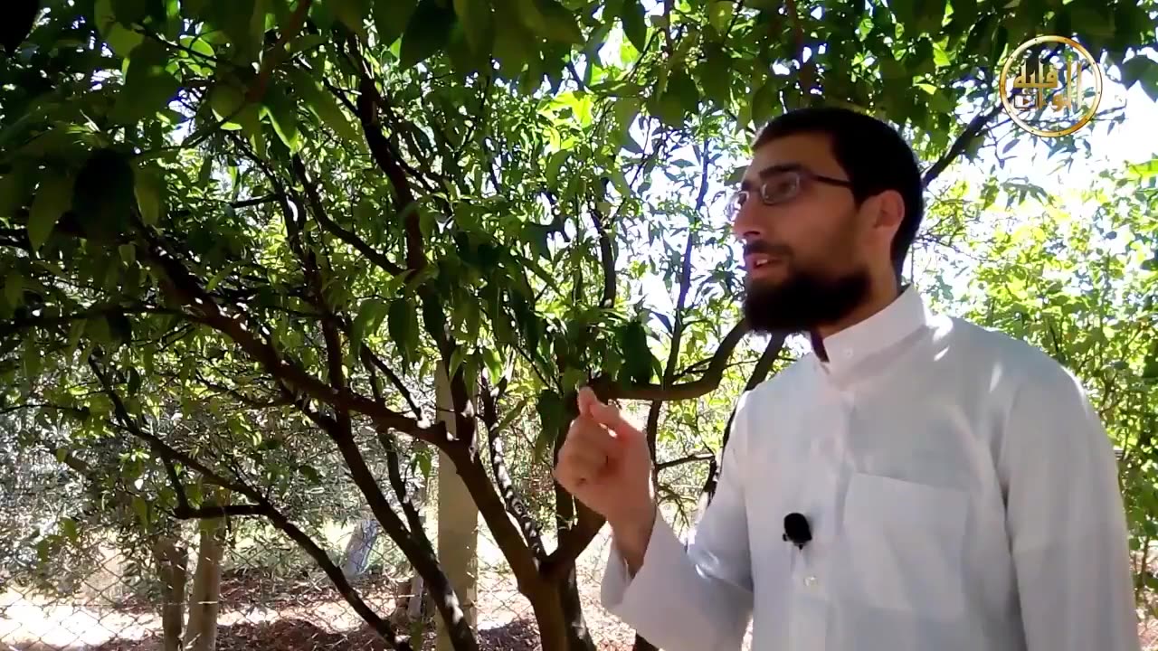 غير ذي عوج - الحلقة 14 إنا ك