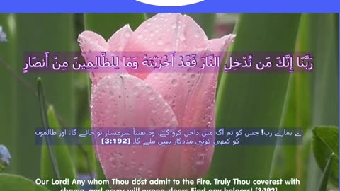 40 Rabbana Duas (Dua no 14)