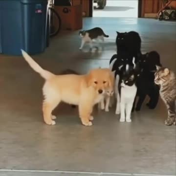 When the bully picks on the wrong guy 🤣