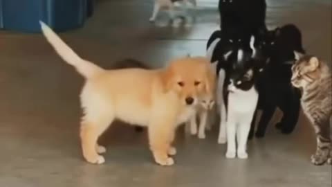 When the bully picks on the wrong guy 🤣