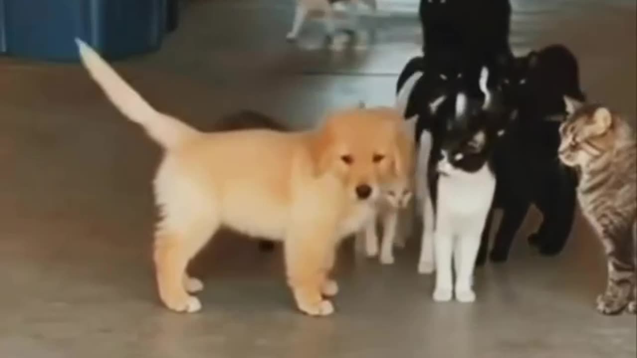 When the bully picks on the wrong guy 🤣