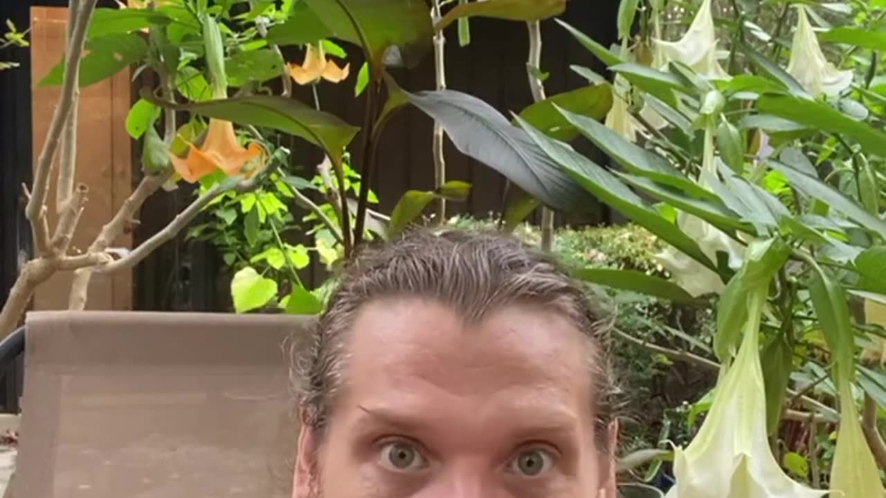 ISRAEL/HAMAS PEACE TREATY