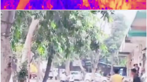 Pizza Party Turns Ugly in Bijnor: Girlfriend’s Brother Thrashes Boyfriend, Video Viral!