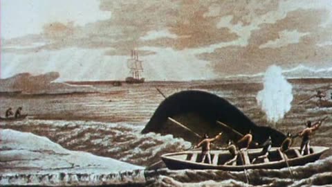 "Three Cheers for the Whale" ( Chris Marker & Mario Ruspoli, 1972 )