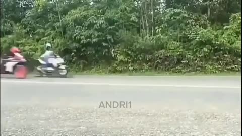 collection of funny videos from +62 citizens