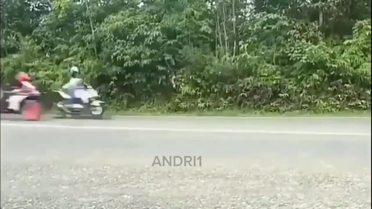 collection of funny videos from +62 citizens