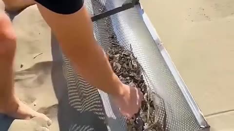 Twist! They thought he was a volunteer... but he struck gold!