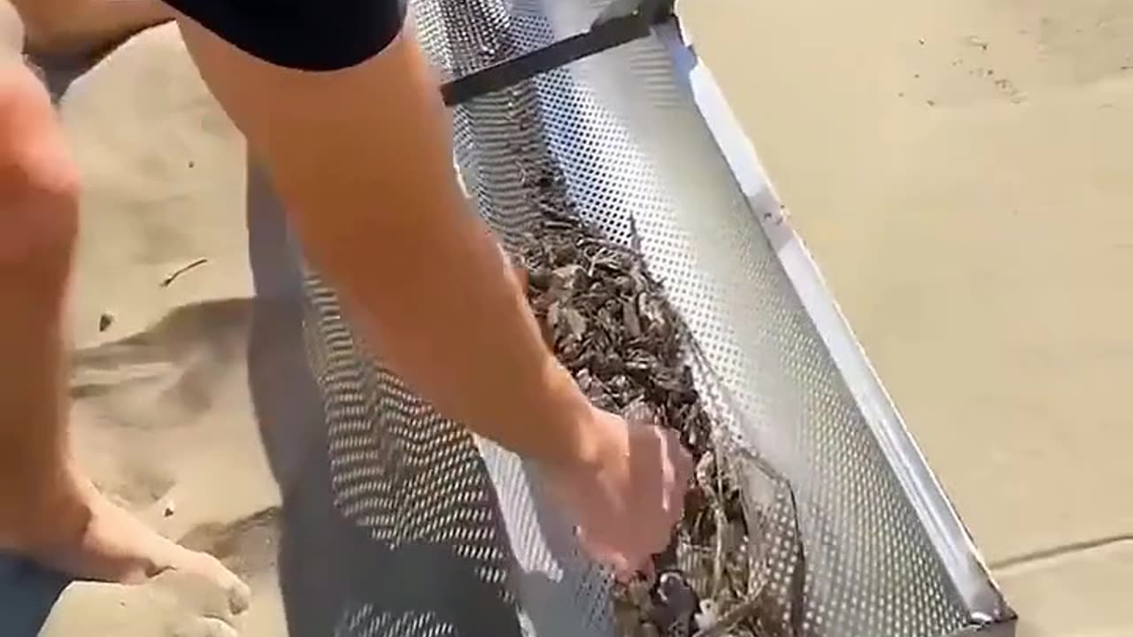 Twist! They thought he was a volunteer... but he struck gold!
