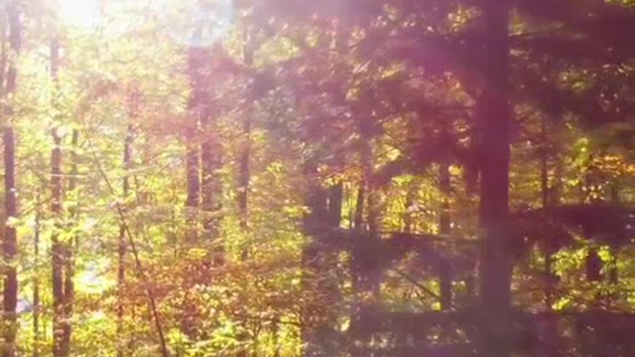 o naufragio do titanic 9.mp4