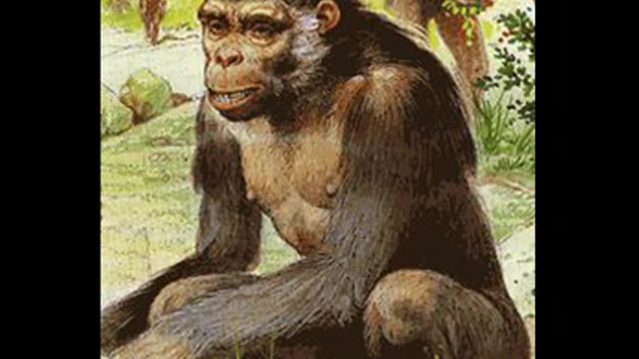 Human Pre-History: Part One- From Ape to Man
