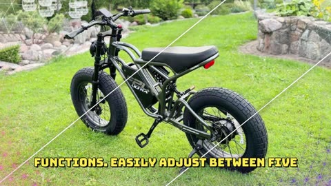 Fafrees F20 Ultra Electric bike 20 inch Fat tire Off-Road 48V 25Ah Battery 1200W Electric bike