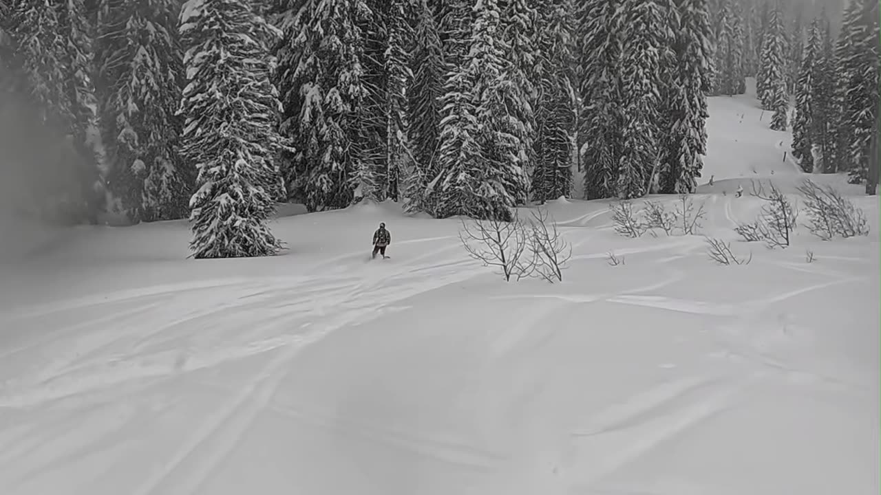Splitboarding w/ Low Viz Condish