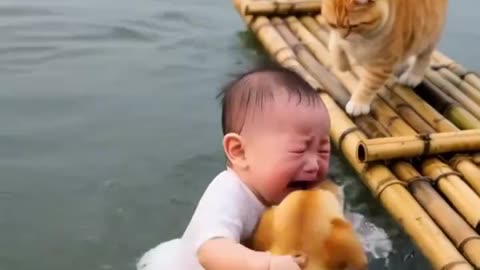 Pets save baby life