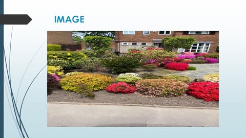 Looking for the best Commercial Garden Maintenance in Sale