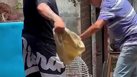 FUNNY PRANK!