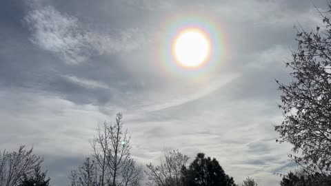 Sunny day today