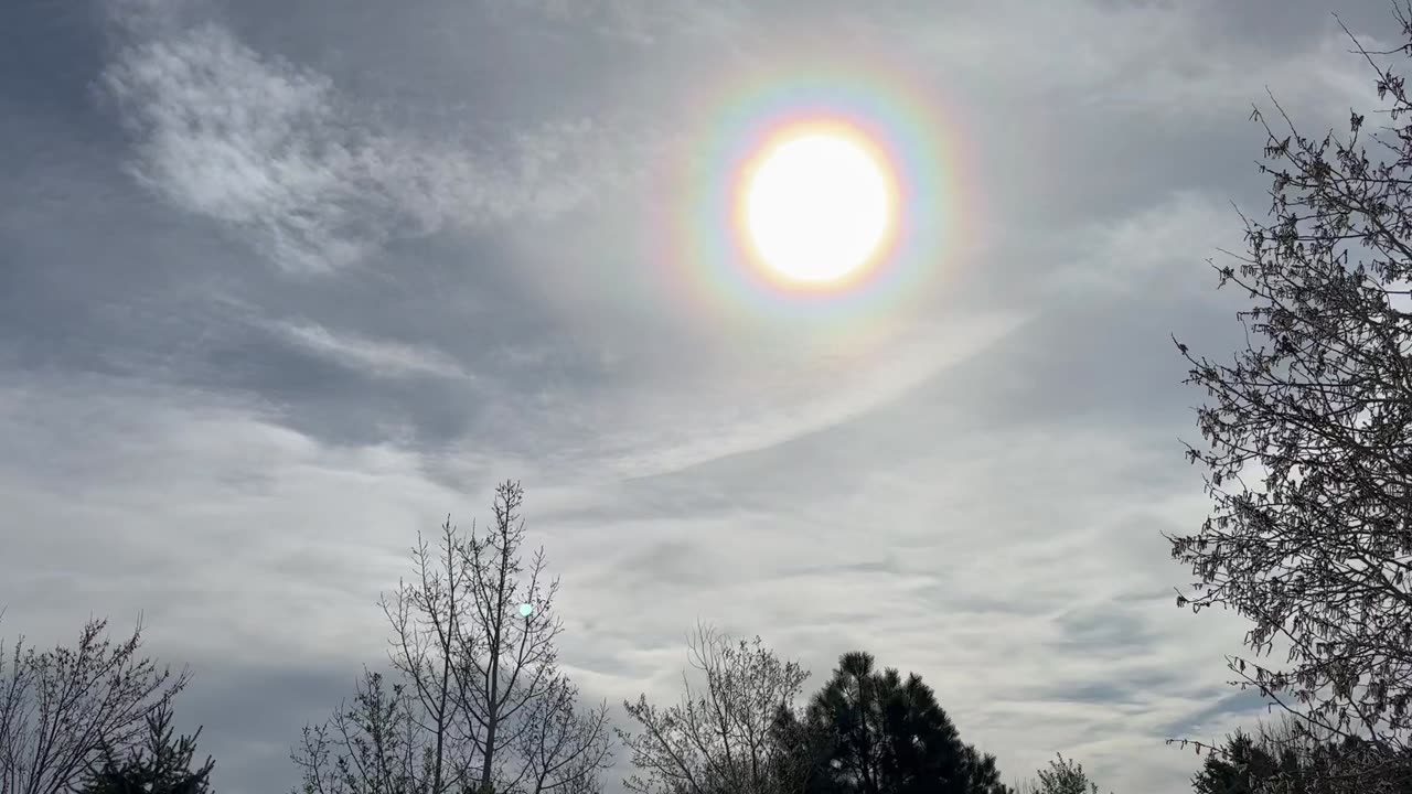 Sunny day today