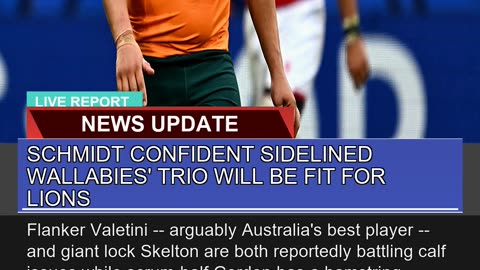Schmidt Confident Sidelined Wallabies Trio Will B