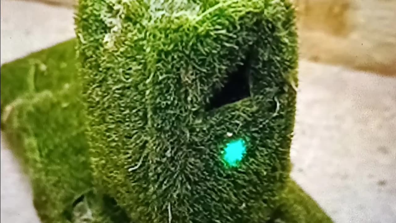 Man finds camo camera watching his home