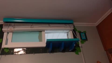 The Last Of The Transom Windows. Outlets, Blinds, Shelves & Tile. End Of Project.