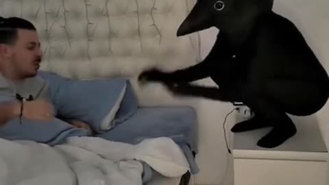 Epic Prank