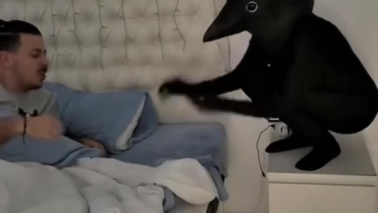 Epic Prank