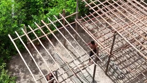 Building a luxurious bamboo house by two men