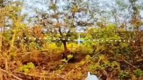 Ukraine war combat footage 8/6/25